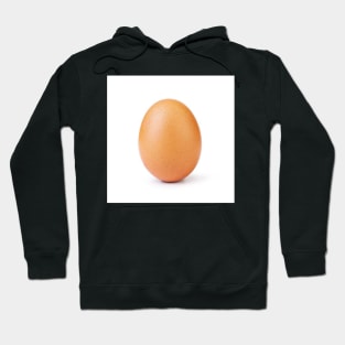 World record egg from instagram. Hoodie